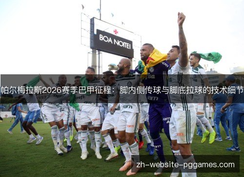 帕尔梅拉斯2026赛季巴甲征程:脚内侧传球与脚底拉球的技术细节 帕尔梅拉斯2026赛季巴甲征程:脚内侧传球与脚底拉球的技术细节